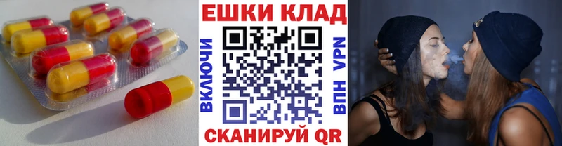 Купить закладки  Новомосковск  Экстази Дубай 