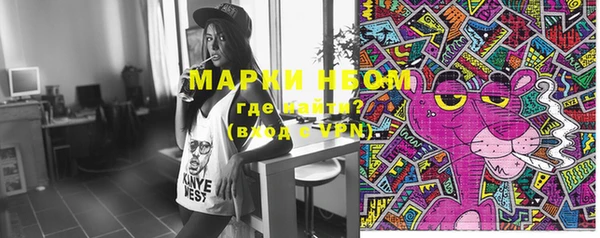 стаф Магадан