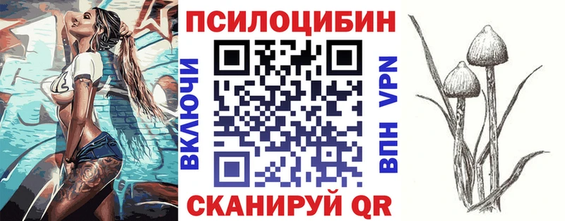 Купить где  Новомосковск  Псилоцибиновые грибы Cubensis 